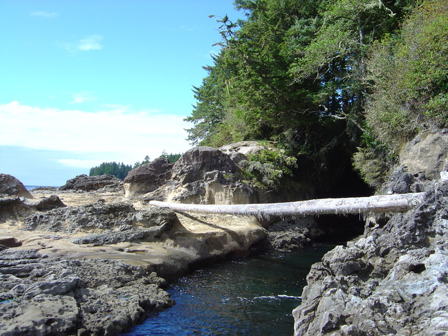 Free from Giddiness?